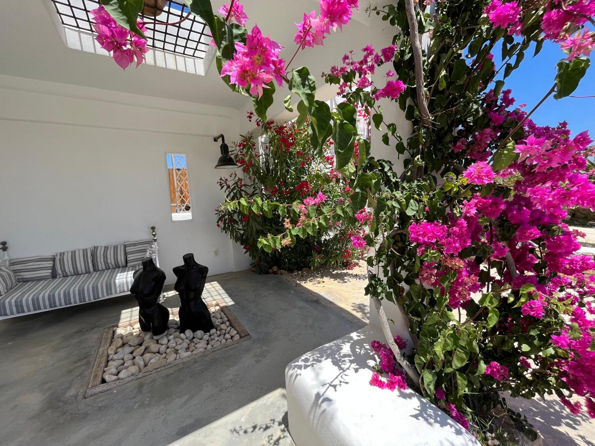 Villa Theia - Selene , Appartement De Charme Pour 4 A 6 Personnes Pres De La Plage Et Du Village De Koufonissi 쿠포니시아 외부 사진